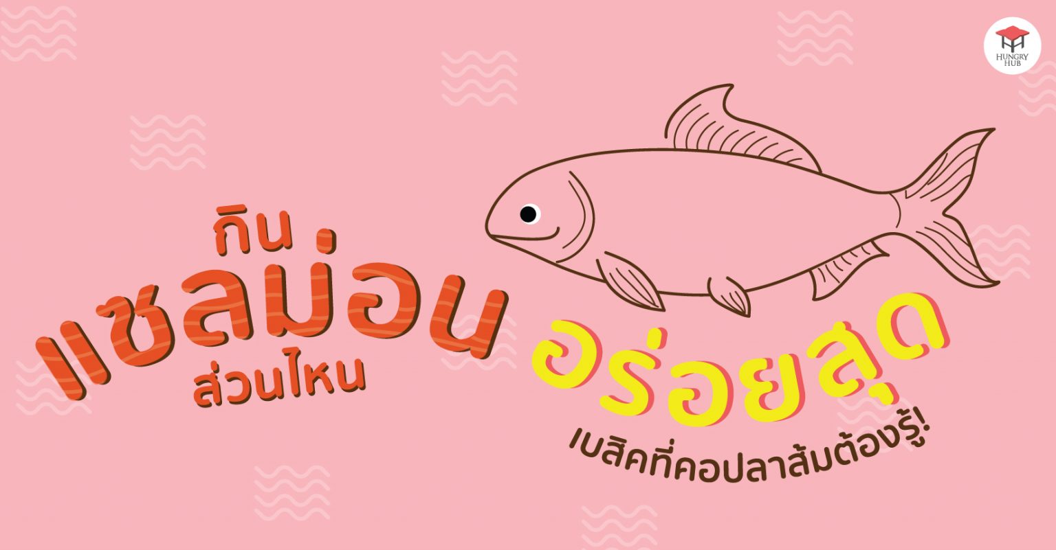 Salmon ส่วนไหน อร่อยสุด? เบสิกแซลมอนที่คอปลาส้มต้องรู้! แซลมอน