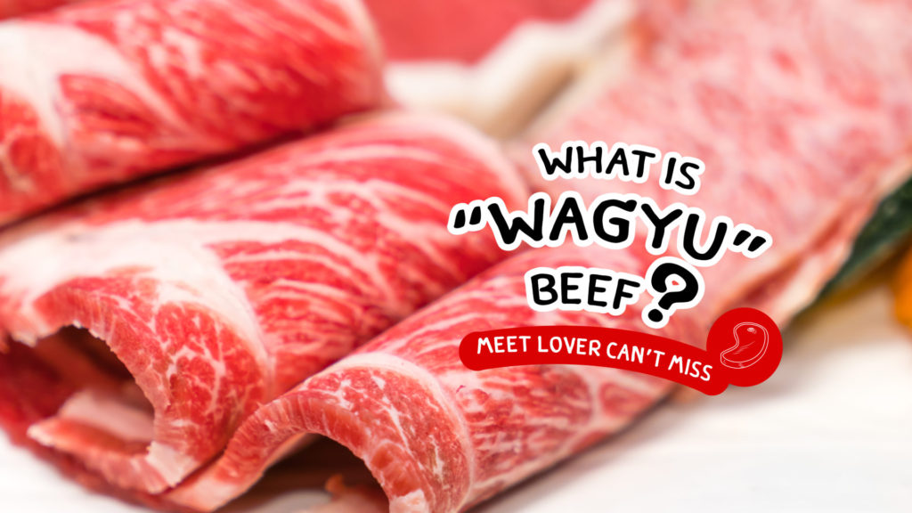 What is Wagyu Beef? A must-read for all the meat lovers out there.