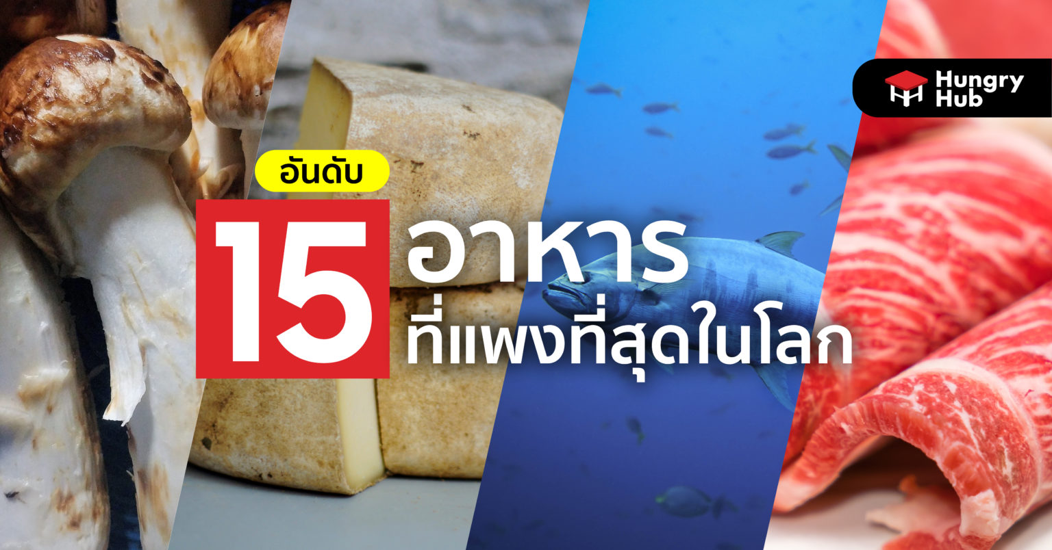 15 อันดับ อาหารที่แพงที่สุดในโลก เมนูสุดอร่อย มีแสนก็หมดแสน 15 อันดับ อาหารที่แพงที่สุดในโลก เมนูสุดอร่อย มีแสนก็หมดแสน