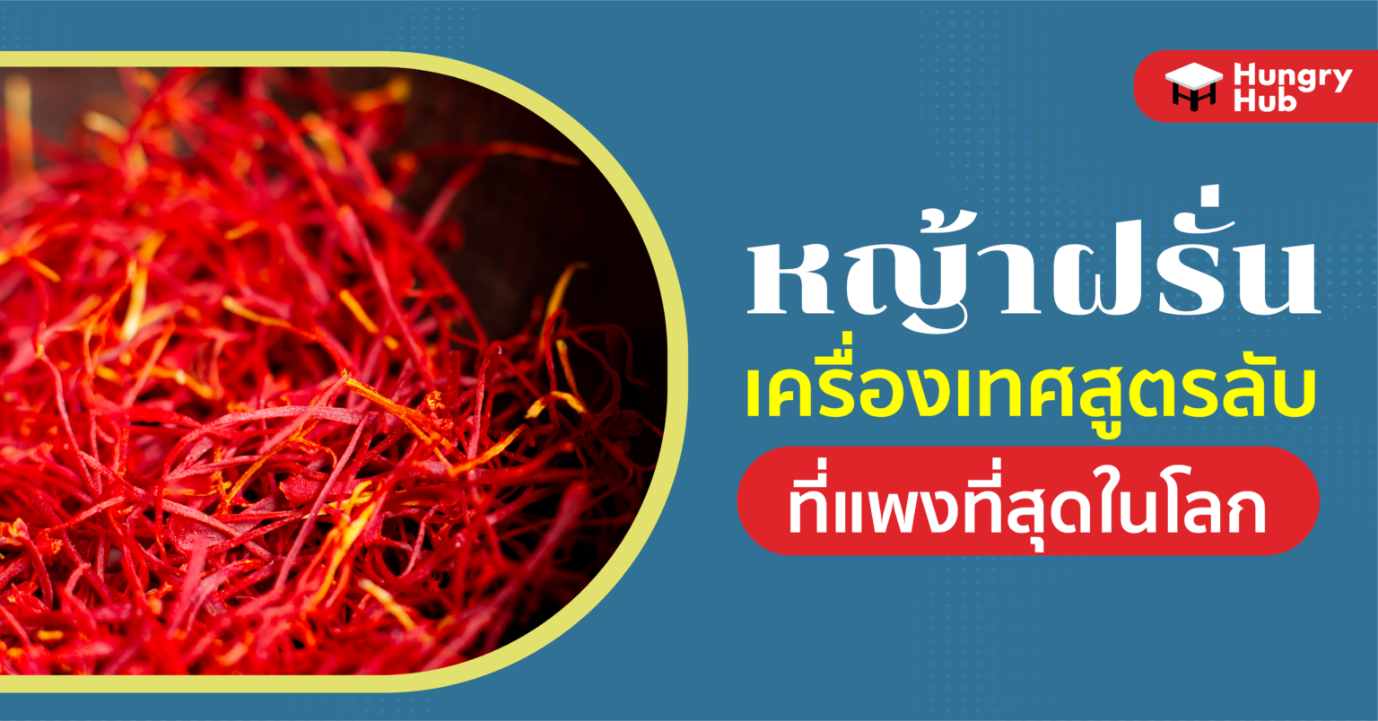 หญ้าฝรั่น เครื่องเทศสูตรลับที่แพงที่สุดในโลก! หญ้าฝรั่น เครื่องเทศสูตรลับ ที่แพงที่สุดในโลก