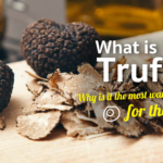 What is Truffle? Why is it the most wanted ingredient for the foodies?