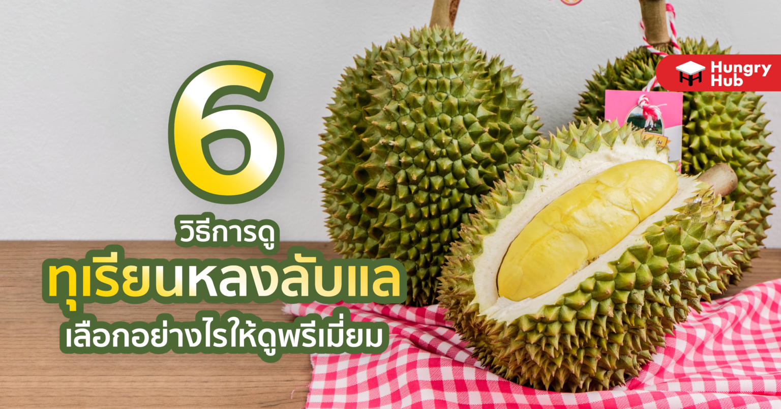 เคล็ดไม่ลับ 6 วิธีการดู ทุเรียนหลงลับแล เลือกอย่างไรให้ดูพรีเมี่ยม? 6 วิธีการดู ทุเรียนหลงลับแล คือ