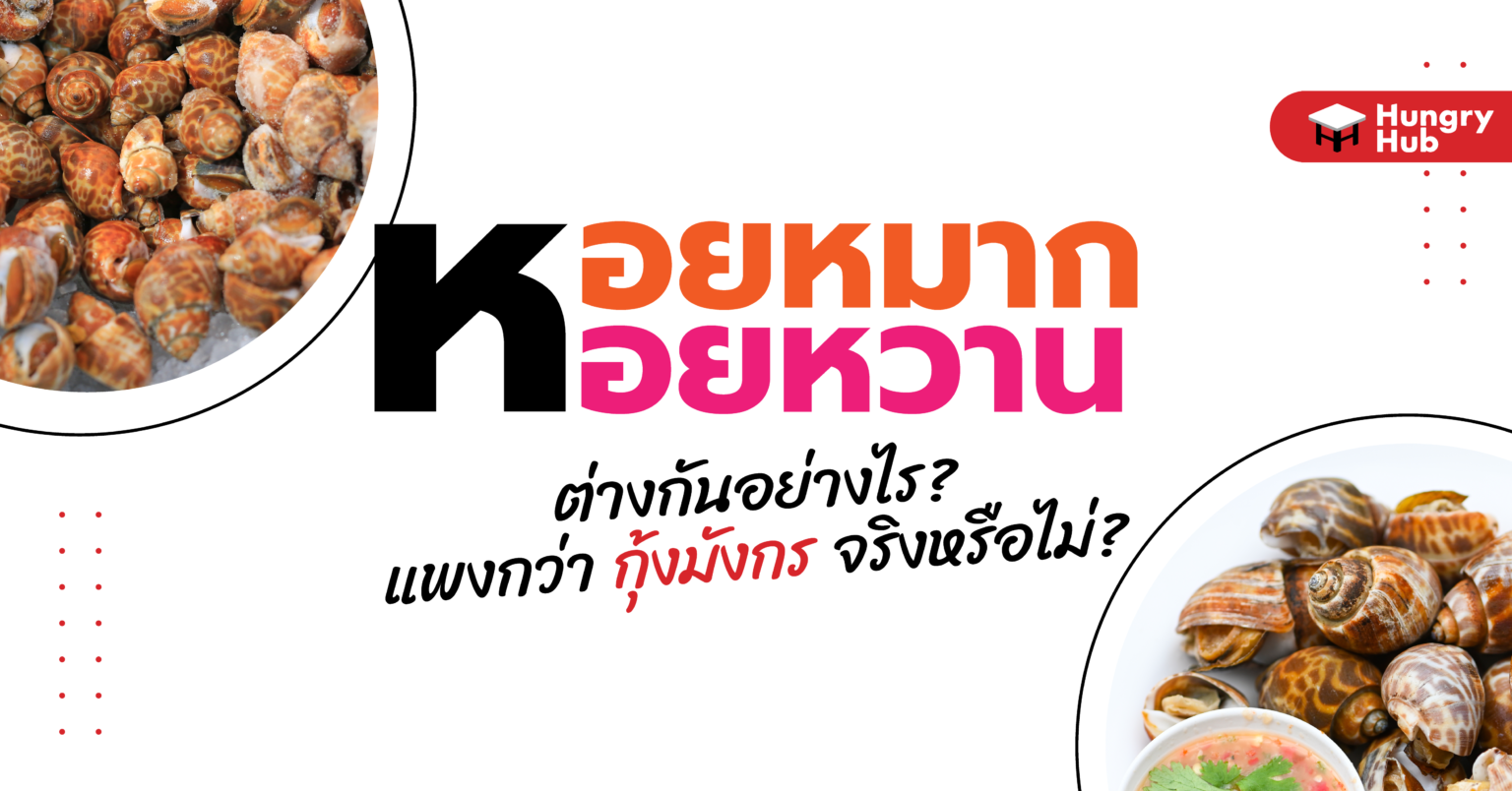 หอยหวาน กับ หอยหมาก ต่างกันอย่างไร? แพงกว่ากุ้งมังกรจริงหรือไม่? หอยหวาน กับ หอยหมาก