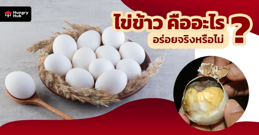 ไข่ข้าว คืออะไร ? เมนูสุดแปลก อร่อยจริงหรือไม่ ? ไข่ข้าว คือ