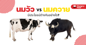 นมวัว VS นมควาย มีประโยชน์ต่างกันอย่างไร