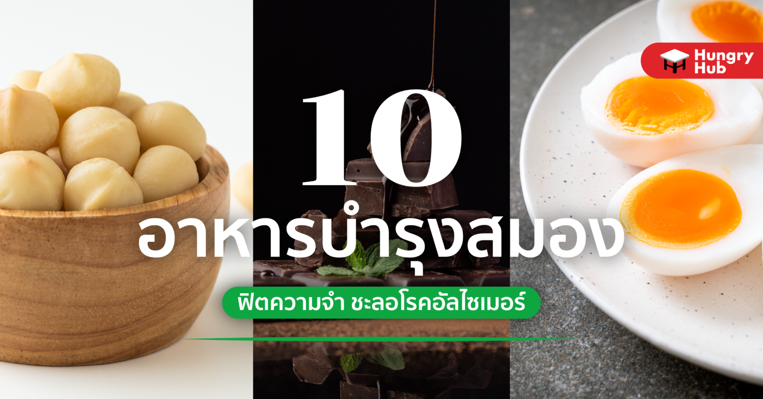 10 อาหารบำรุงสมอง ฟิตความจำ ชะลอโรคอัลไซเมอร์ 10 อาหารบำรุงสมอง ฟิตความจำ ชะลอโรคอัลไซเมอร์