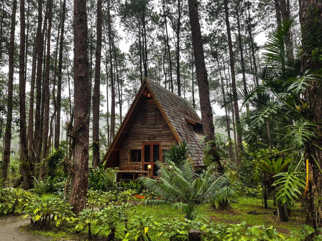 สวนป่าดอยบ่อหลวง