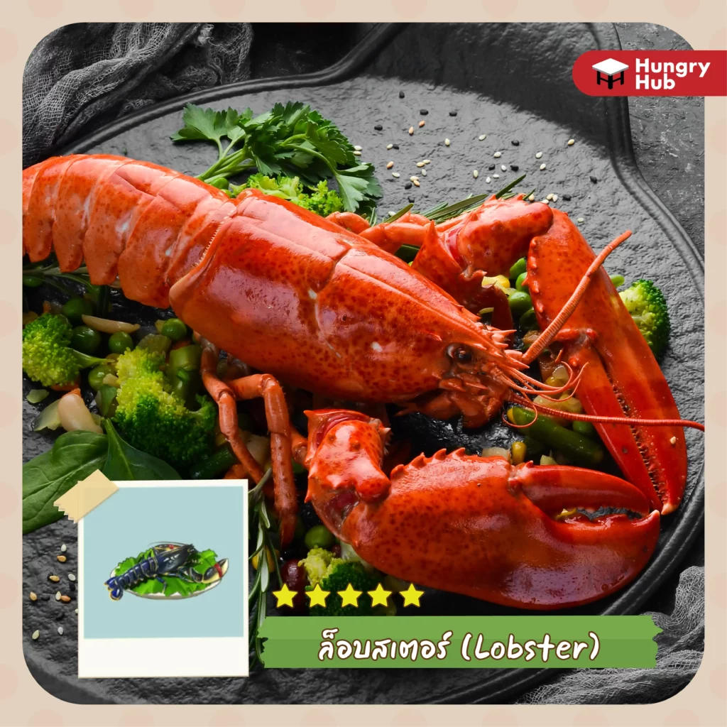 ล็อบสเตอร์ ร้านหม้อไฟแห่งความสุข