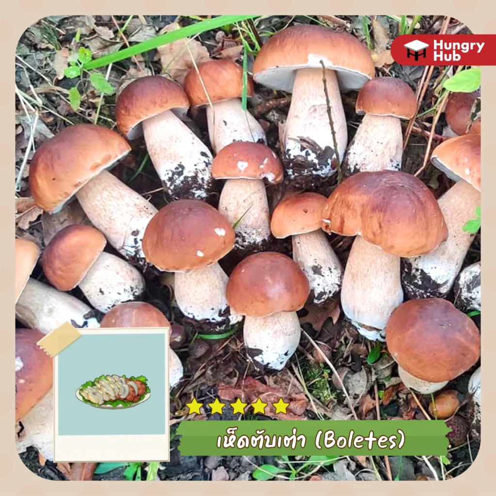 หม้อไฟแห่งความสุข 05