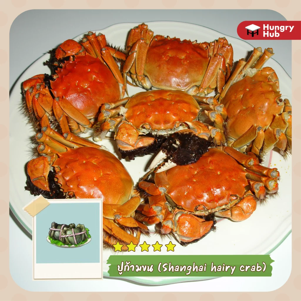 หม้อไฟแห่งความสุข 08