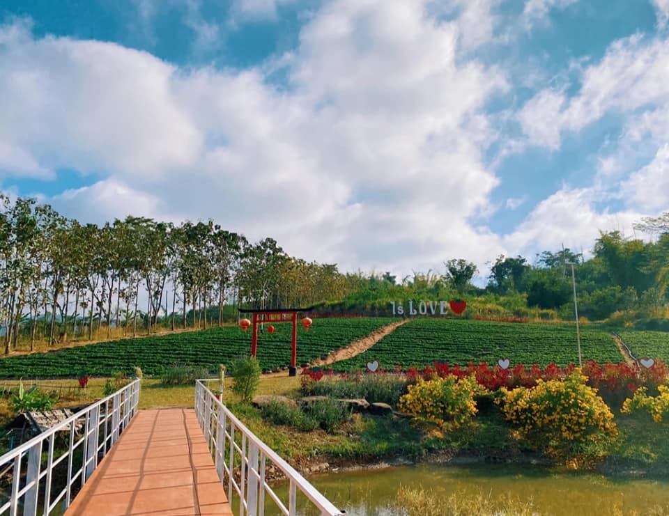 ไร่loveสตรอเบอรี่ ทีเที่ยวปีใหม่ 2566