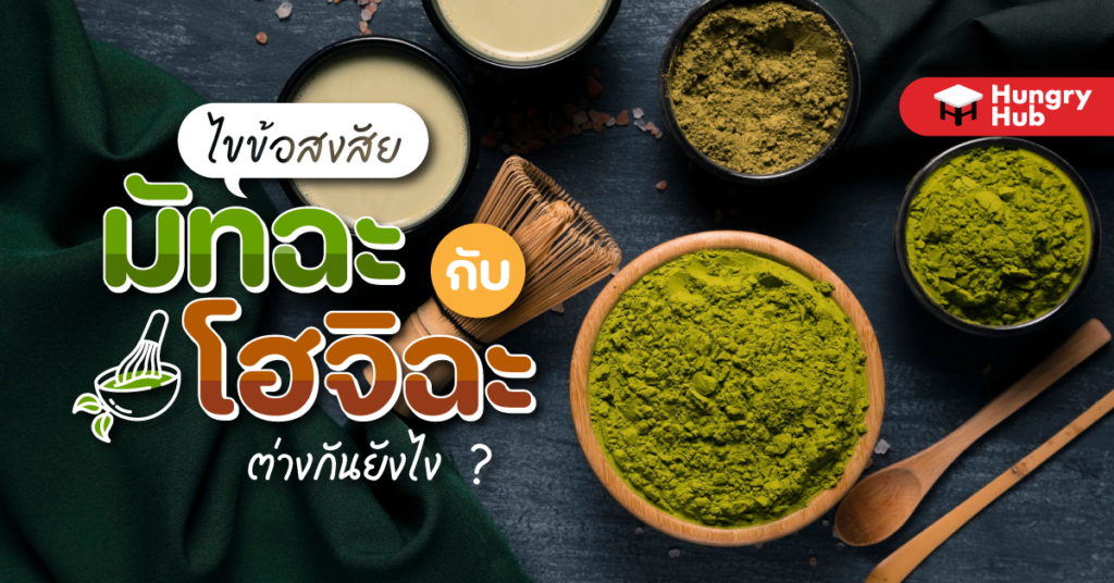 ไขข้อสงสัย มัทฉะ กับ โฮจิฉะ ต่างกันยังไง?