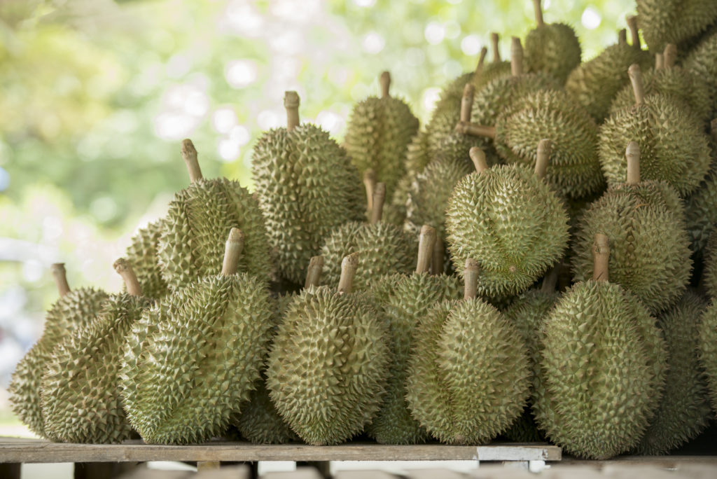 Durian Tree Garden Durian Is King Fruits Asia Thailand 1024x684
