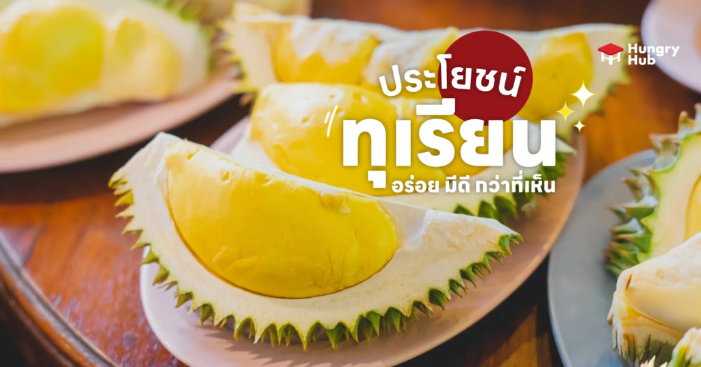 ประโยชน์ของทุเรียน ผลไม้หน้าร้อน อร่อย มีดีกว่าที่เห็น ประโยชน์ของทุเรียน