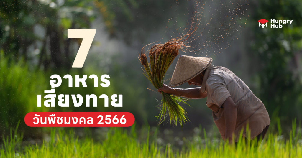 7 อาหารเสี่ยงทาย วันพืชมงคล 2566