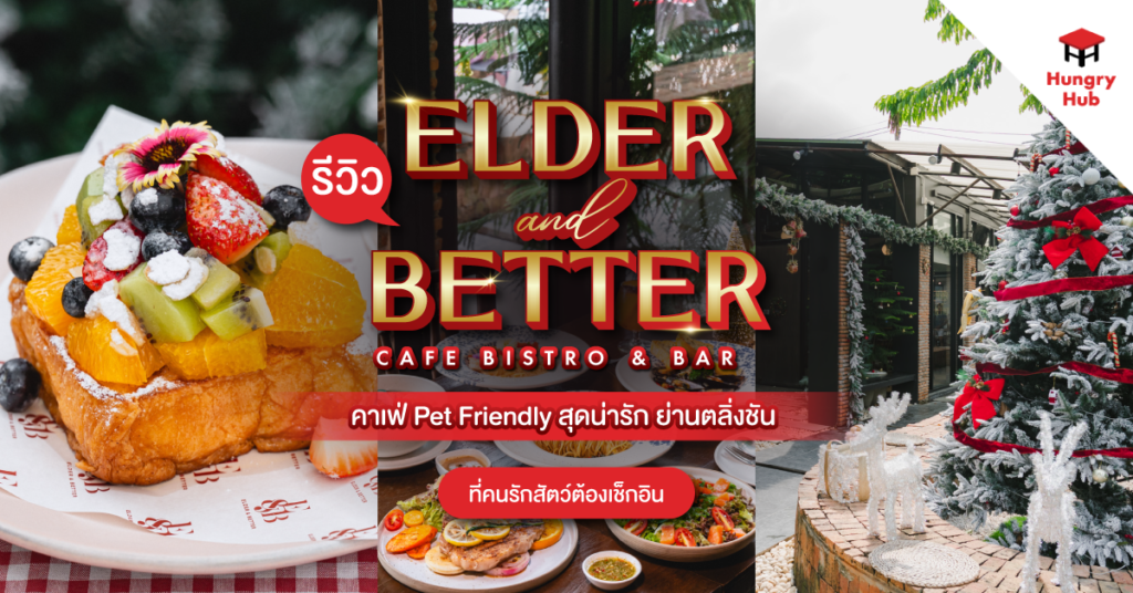 ฝึกงาน Content Writer 2025 _ Elder and Better