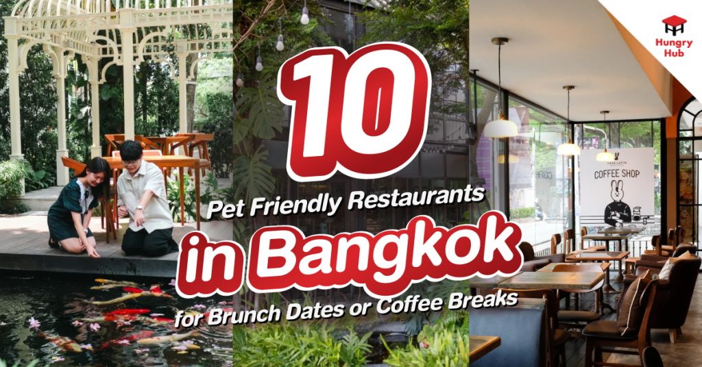 Pet Friendly Restaurants in Bangkok