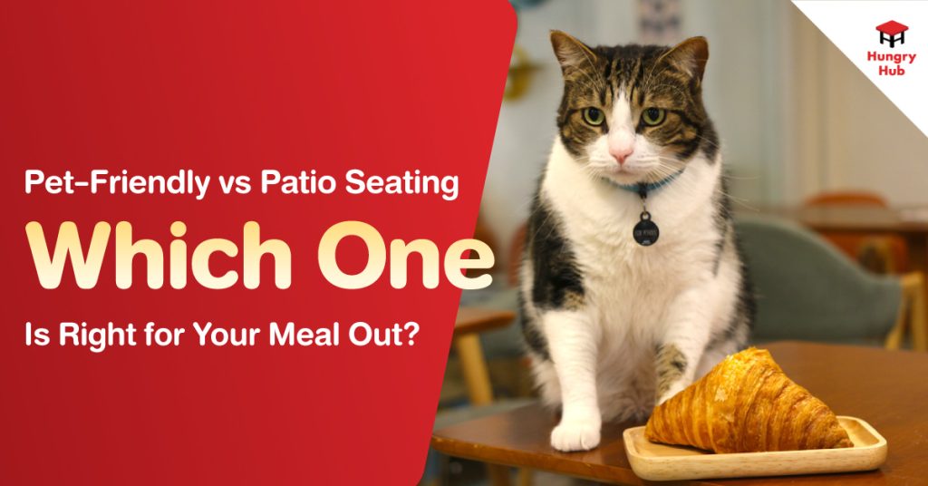 Pet-Friendly vs Patio Seating : Which One Is Right for Your Meal Out?