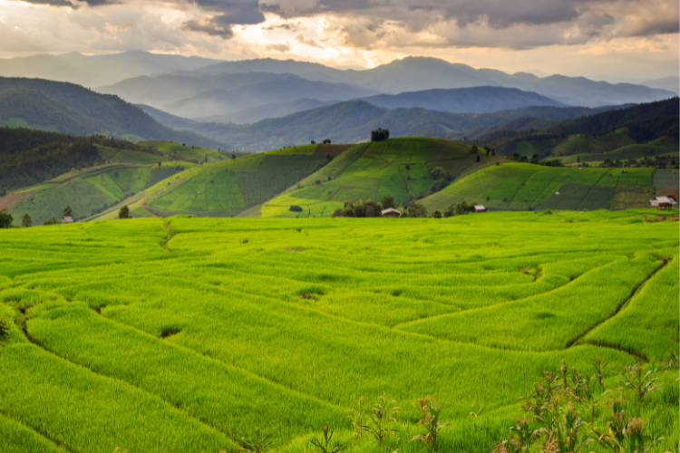 Northern Thailand