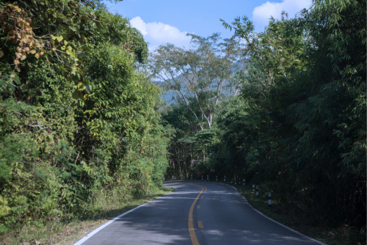 Northern Thailand